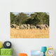 Herd Elephants Moremi Nature Wall Decal