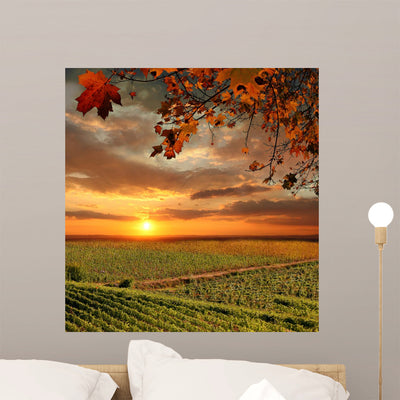 Vine Landscape Chianti Italy Wall Decal shown on a wall