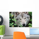 Head Gray Wolf Wall Decal