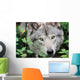 Head Gray Wolf Wall Decal