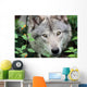 Head Gray Wolf Wall Decal