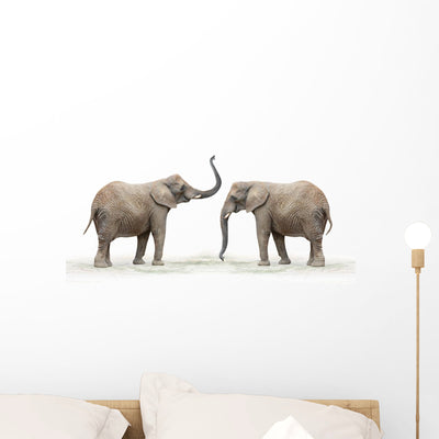 African Elephant Loxodonta Africana Wall Decal shown on a wall