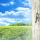 Window Frame Wall Decal