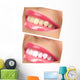 Women Smile with Teeth - Pink Lipstick Wall Decal