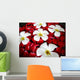 Tropical Spa Close-up Fragapani Wall Decal