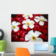 Tropical Spa Close-up Fragapani Wall Decal