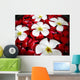 Tropical Spa Close-up Fragapani Wall Decal