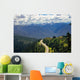 Road toward Hurricane Ridge Wall Decal