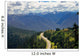 Road toward Hurricane Ridge Wall Decal
