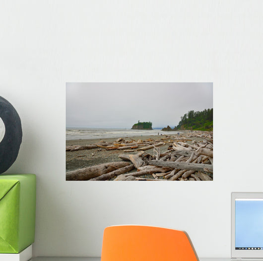 Drift Wood Ruby Beach Wall Decal