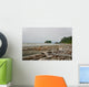 Drift Wood Ruby Beach Wall Decal