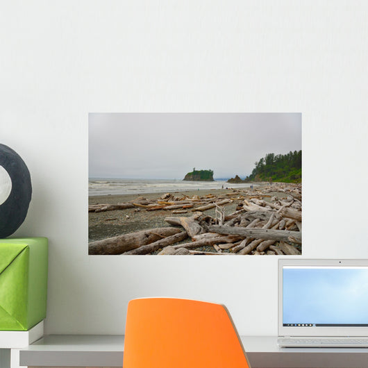Drift Wood Ruby Beach Wall Decal