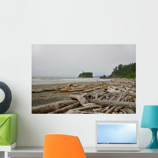 Drift Wood Ruby Beach Wall Decal