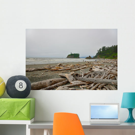 Drift Wood Ruby Beach Wall Decal