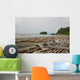 Drift Wood Ruby Beach Wall Decal