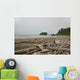 Drift Wood Ruby Beach Wall Decal