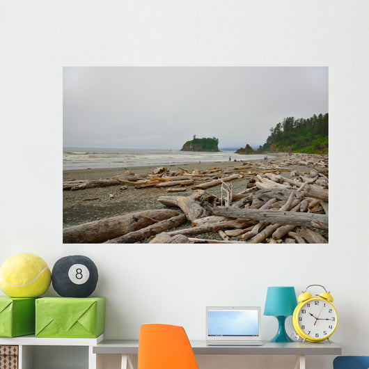 Drift Wood Ruby Beach Wall Decal