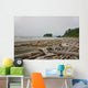 Drift Wood Ruby Beach Wall Decal