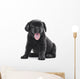Black Labrador Puppy Dog Wall Decal