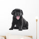 Black Labrador Puppy Dog Wall Decal