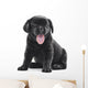 Black Labrador Puppy Dog Wall Decal