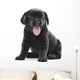 Black Labrador Puppy Dog Wall Decal