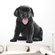 Black Labrador Puppy Dog Wall Decal