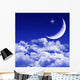 New Moon and Stars Wall Decal