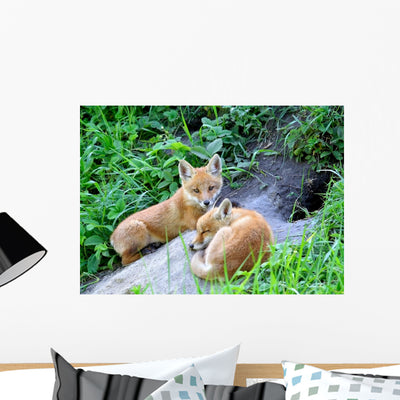 Red Fox Vulpes Vulpes Wall Decal shown on a wall