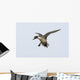 Northern Pintail Anas Acuta Wall Decal