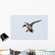 Northern Pintail Anas Acuta Wall Decal