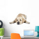 Labrador Retriever Wall Decal