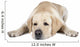 Labrador Retriever Wall Decal