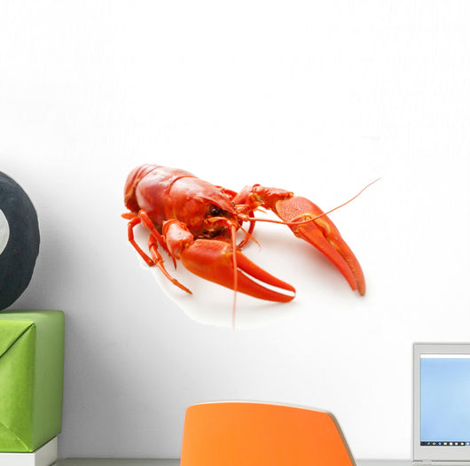 Crawfish Wall Decal