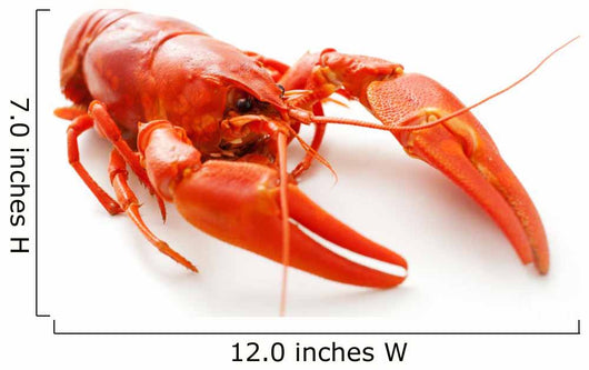Crawfish Wall Decal