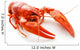 Crawfish Wall Decal