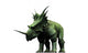Styracosaurus Wall Decal