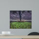 Large Tornado Wall Decal