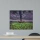 Large Tornado Wall Decal