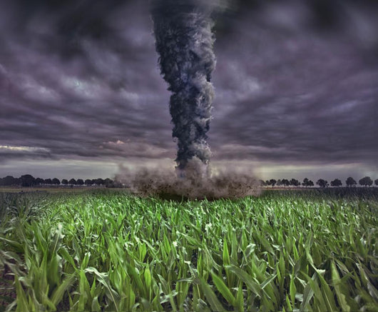 Large Tornado Wall Decal