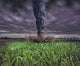 Large Tornado Wall Decal
