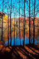 Through Trees Wall Decal