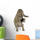 Asian Elephant Elephas Maximus Wall Decal