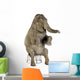 Asian Elephant Elephas Maximus Wall Decal