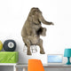 Asian Elephant Elephas Maximus Wall Decal