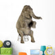 Asian Elephant Elephas Maximus Wall Decal