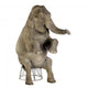 Asian Elephant Elephas Maximus Wall Decal