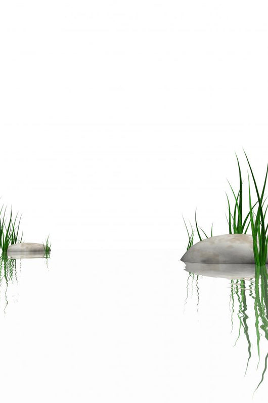 Stones Grass Waters Edge Wall Decal