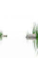 Stones Grass Waters Edge Wall Decal