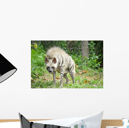 Striped Hyena Wall Decal